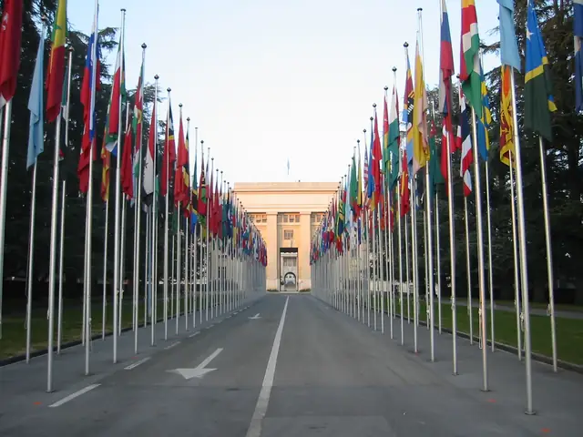 National flags outside the Palais des Nations in Geneva